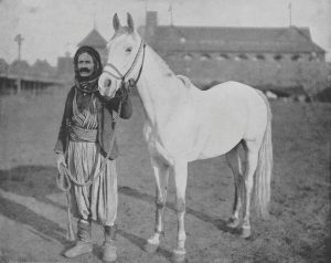 خيل أصيلة مع رجل سوري في صورة تعود للقرن التاسع عشر 
