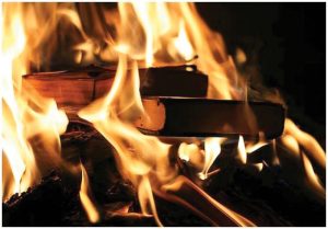 حرق الكتب يعادل حرق الفكر
